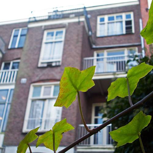 Amsterdam Pays-Bas code promo Booking.com